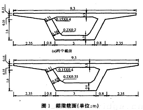 圖1 箱梁截面(單位：m)