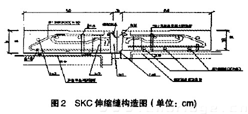 圖2 SKC伸縮縫構(gòu)造圖(單位：cm)