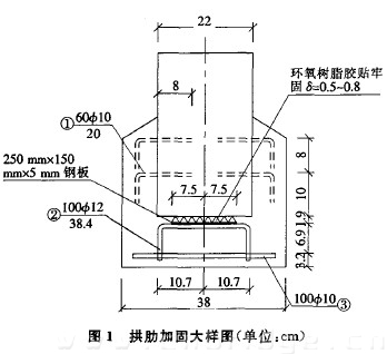 圖1 拱肋加固大樣圖（單位：cm）